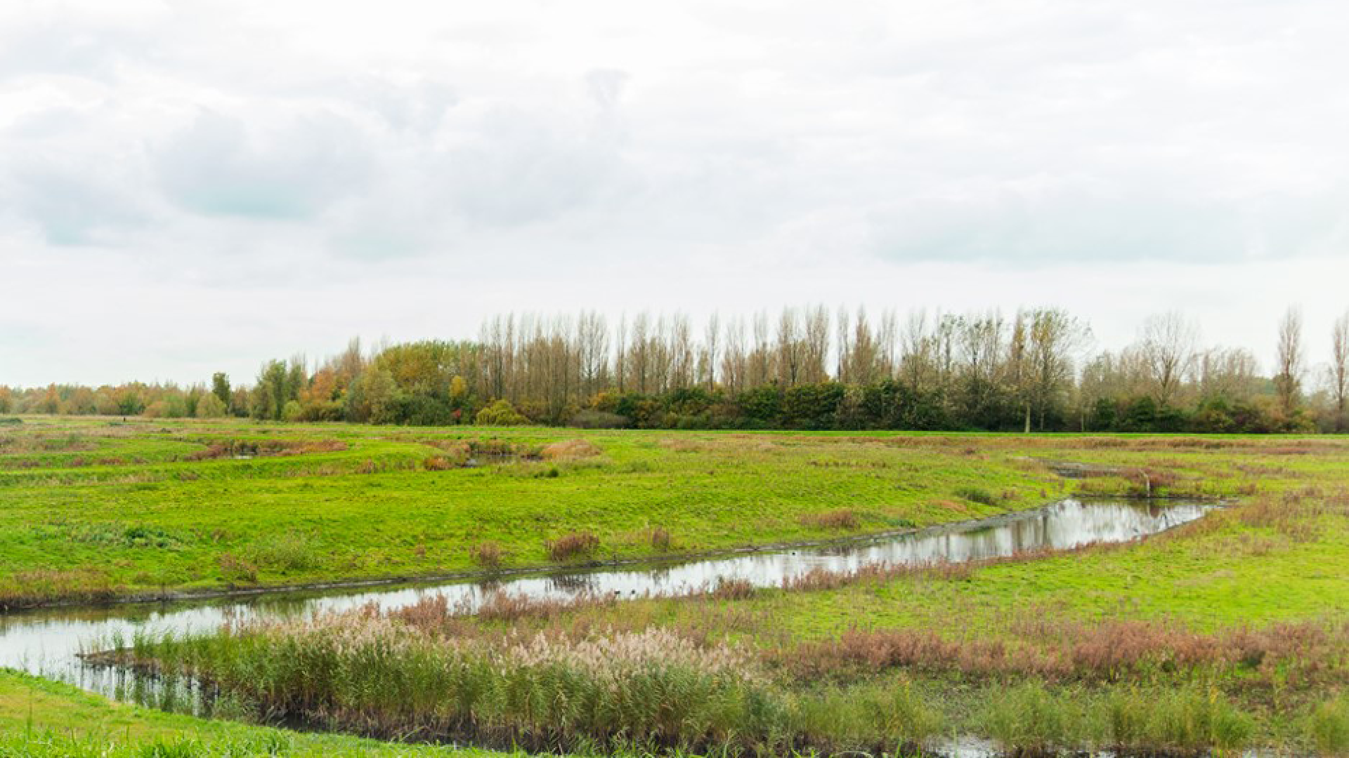IMG_8279-FINAL-alleen-groen.png
